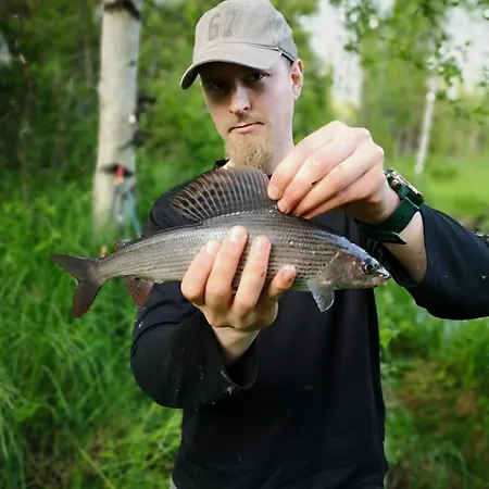 Villa Ounasjoki Lohiniva